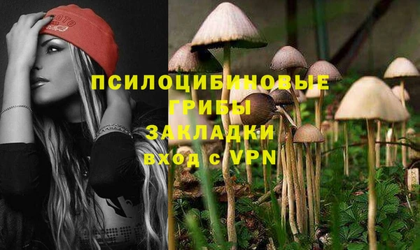 альфа пвп Краснотурьинск