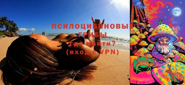 хмурый Краснослободск