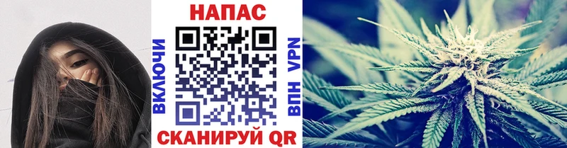 Бошки марихуана White Widow  Купить  Будённовск 